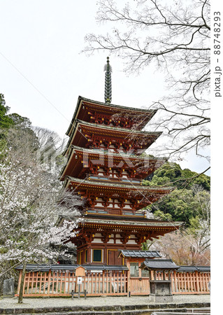 春の長谷寺(奈良県)五重塔 春の長谷寺(奈良県)五重塔 88748293