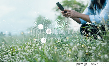 Science of plant research, Chromosome DNA and genetic, Development of plant varieties, Scientist researching and experiments genetic of flower with record data on mobile phone in the meadow. 88748362