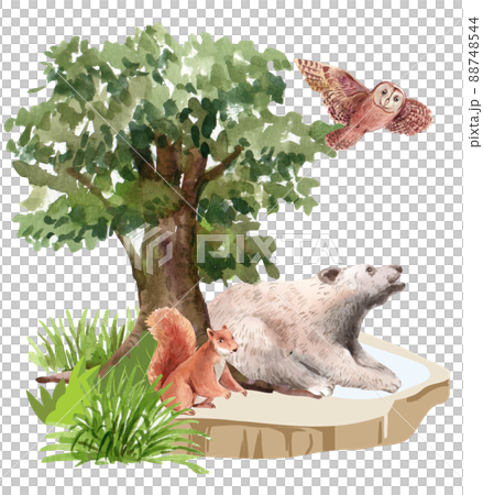 Biodiversity as natural wildlife species or fauna protection abstract concept. 88748544