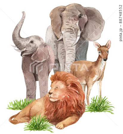Biodiversity as natural wildlife species or fauna protection abstract concept. Biodiversity as natural wildlife species or fauna protection abstract concept. 88748552