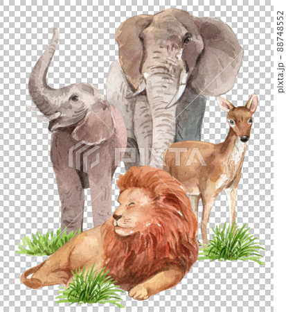 Biodiversity as natural wildlife species or fauna protection abstract concept. Biodiversity as natural wildlife species or fauna protection abstract concept. 88748552