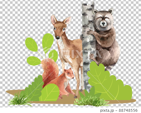 Biodiversity as natural wildlife species or fauna protection abstract concept. 88748556