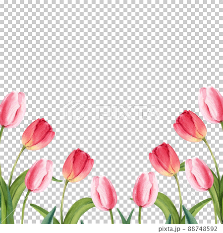 Floral frame watercolor png 88748592