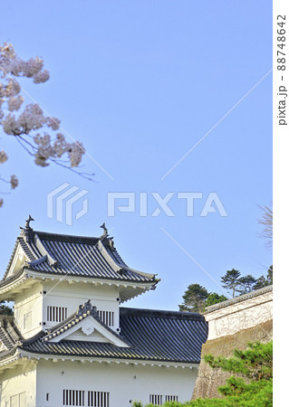 春桜満開の青葉城隅櫓 88748642