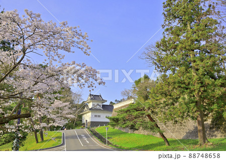 春桜満開の青葉城隅櫓 88748658