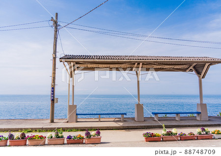 (愛媛県)JR 下灘駅 春 (愛媛県)JR 下灘駅 春 88748709