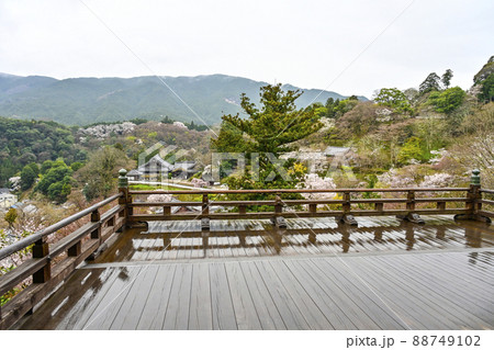 春の長谷寺(奈良県)雨に濡れる本堂外舞台 春の長谷寺(奈良県)雨に濡れる本堂外舞台 88749102