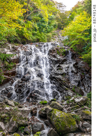宮津の名瀑「今福の滝」（京都府宮津市喜多）※作品コメント欄に撮影位置 88749148
