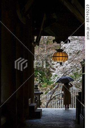 春雨の長谷寺(奈良県) 春雨の長谷寺(奈良県) 88749219
