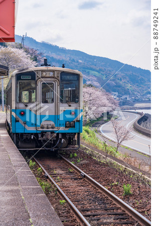 (愛媛県)桜が咲いた、JR 下灘駅 列車 (愛媛県)桜が咲いた、JR 下灘駅 列車 88749241