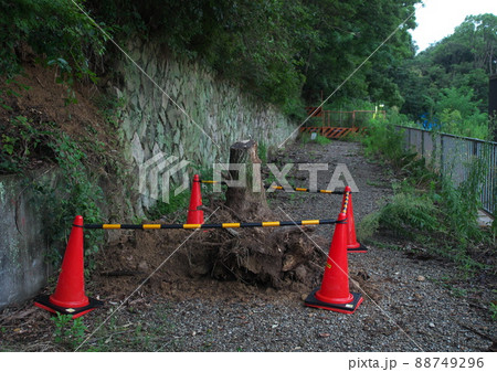 六甲山麓 大雨の痕跡 88749296