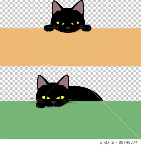 一隻下巴在盒子邊緣的黑貓 88749374