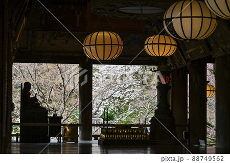 春の長谷寺（奈良県）本堂礼堂 88749562