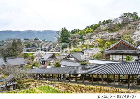早朝の長谷寺（奈良県）登廊 88749707