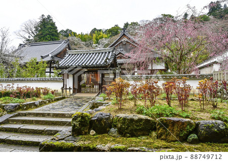 春の長谷寺(奈良県)歓喜院 春の長谷寺(奈良県)歓喜院 88749712