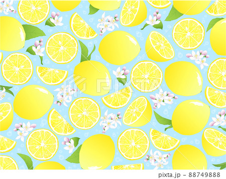 レモンの実と花の背景③(全面,水色) 88749888