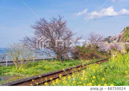 (愛媛県)JR 下灘駅・付近の踏切 (愛媛県)JR 下灘駅・付近の踏切 88750024