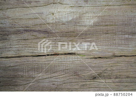 Abstract art antique wood texture 88750204