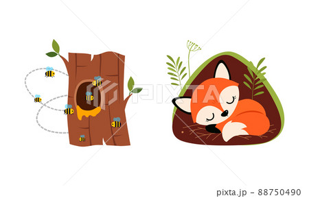 Bees flying around tree hollow and little fox sleeping in burrow cartoon vector illustration 88750490