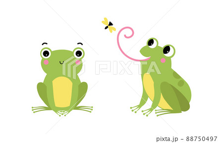 Cute little green baby frog sitting and catching fly with tongue cartoon vector illustration 88750497