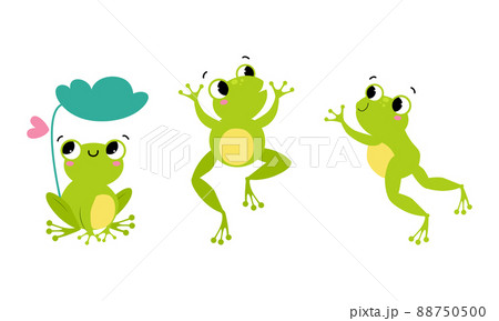 Set Of Cute Little Green Baby Frog In Different のイラスト素材