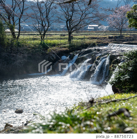 布橋十二ヶ滝(ぬのはしじゅうにがたき)/石川県小松市 西尾地区 2022年4月撮影 布橋十二ヶ滝(ぬのはしじゅうにがたき)/石川県小松市 西尾地区 2022年4月撮影 88750723