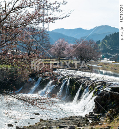 布橋十二ヶ滝（ぬのはしじゅうにがたき）／石川県小松市　西尾地区　2022年4月撮影 88750726