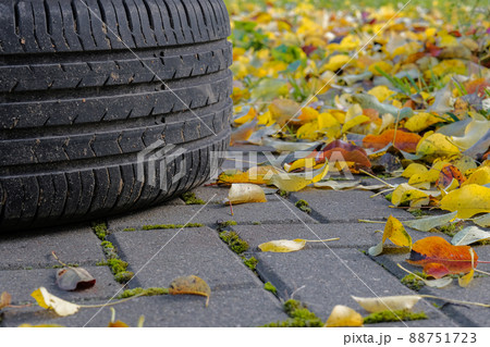 Selective focus on the tread of a car tire lying on a pavement in an autumn day. 88751723