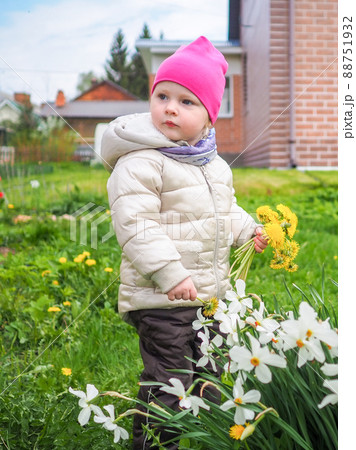 Little baby girl in a warm jacket and a pink hat collects yellow dandelions. Little baby girl in a warm jacket and a pink hat collects yellow dandelions. 88751932