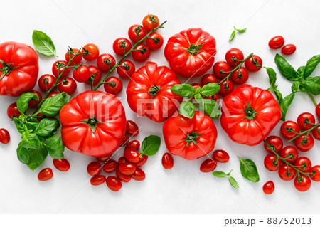 Tomatoes and basil on white background, top view, flat lay 88752013