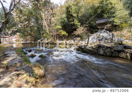 上賀茂神社境内のならの小川 上賀茂神社境内のならの小川 88752066