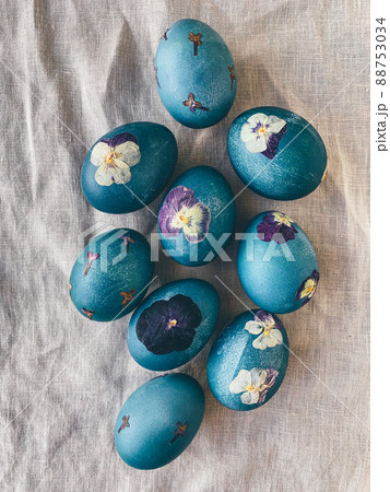 Naturally dyed cyan blue pressed flower Easter eggs. Naturally dyed cyan blue pressed flower Easter eggs. 88753034