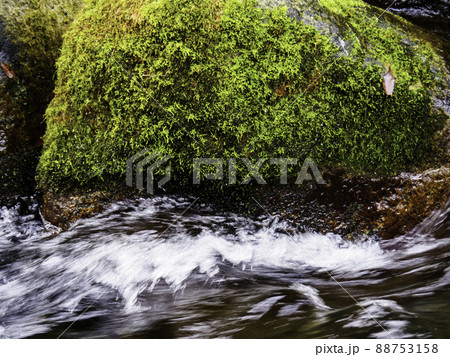 苔生した岩と川 88753158