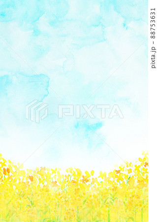 菜の花畑　水彩タッチ 88753631