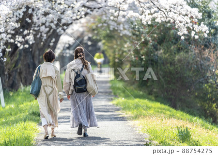 白石川堤一目千本桜と女性のうしろ姿 宮城県大河原町 白石川堤一目千本桜と女性のうしろ姿 宮城県大河原町 88754275