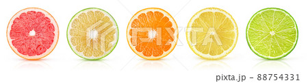 Citrus fruits slices in a row isolated on white background 88754331