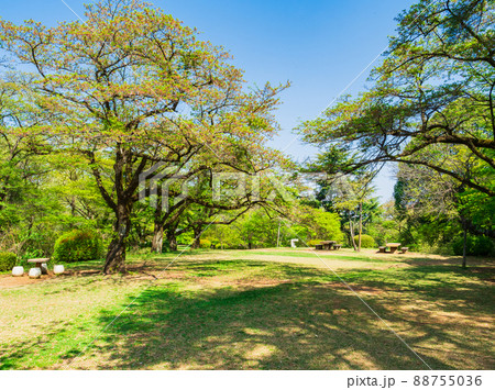 郊外の住宅地 新緑の公園 郊外の住宅地 新緑の公園 88755036