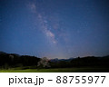 向野のエドヒガン桜 88755977