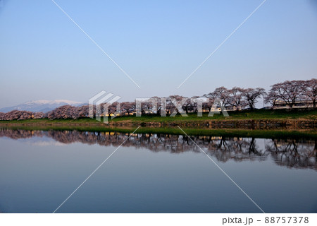 宮城県白石川一目千本桜 88757378