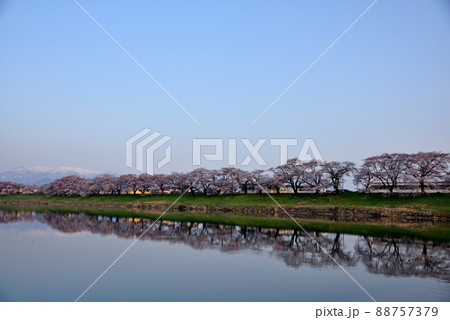 宮城県白石川一目千本桜 宮城県白石川一目千本桜 88757379