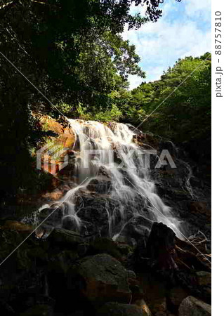 今福の滝より 88757810