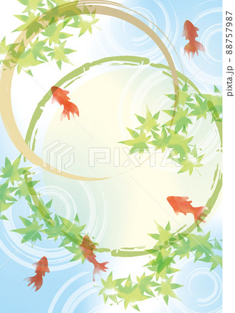 爽やかな水彩風金魚　夏　水 88757987