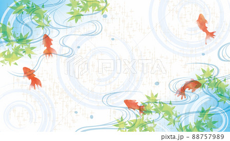 爽やかな水彩風金魚　夏　水 88757989