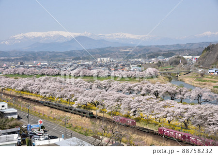 宮城県白石川一目千本桜 宮城県白石川一目千本桜 88758232