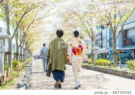 鎌倉 参道 散歩 88758592