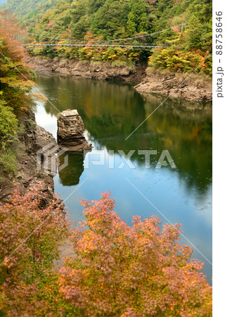 吉野川に掛かる橋と紅葉の風景 吉野川に掛かる橋と紅葉の風景 88758646
