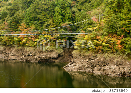 吉野川に掛かる橋と紅葉の風景 吉野川に掛かる橋と紅葉の風景 88758649