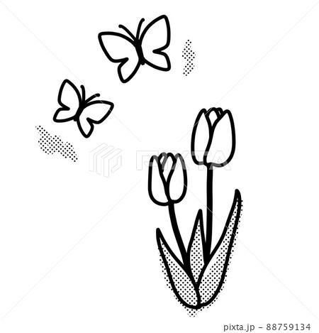 チューリップと蝶のモノクロイラストのイラスト素材 [88759134] - PIXTA