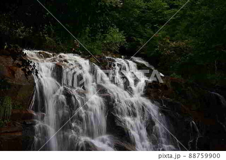 今福の滝より 今福の滝より 88759900