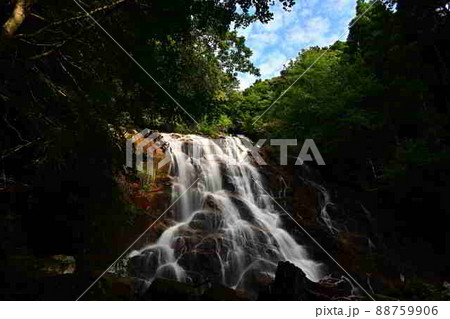 今福の滝より 88759906